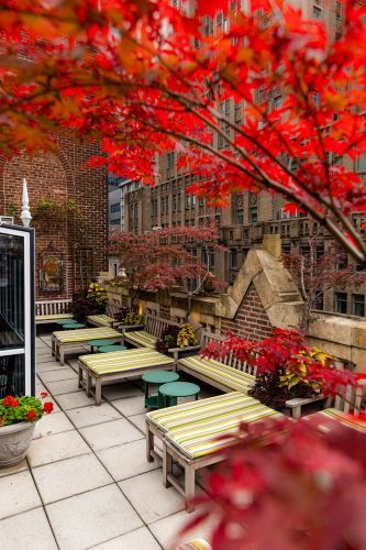 Poetry Garden Terrace